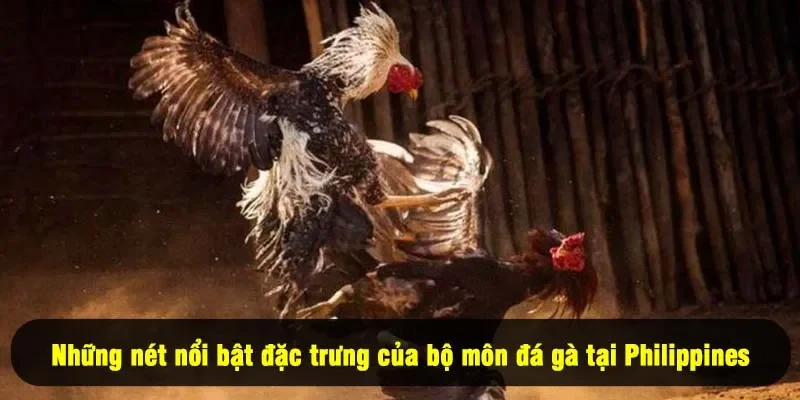 Đá Gà Philippines 2025 – Điều Gì Tạo Nên Sức Hút Không Tưởng? 3 - Những nét nổi bật đặc trưng của bộ môn đá gà tại Philippines